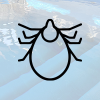 Positieve nabehandeling voor de ziekte van lyme | IJsbad Experience